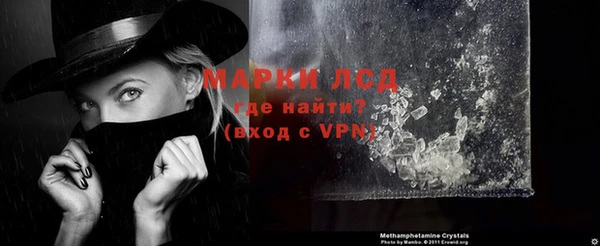 спайс Покачи
