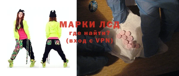 спайс Покачи