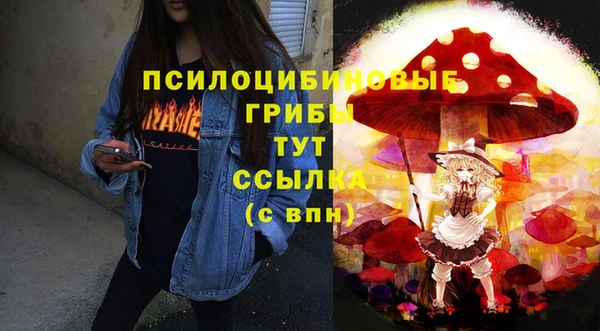спайс Покачи