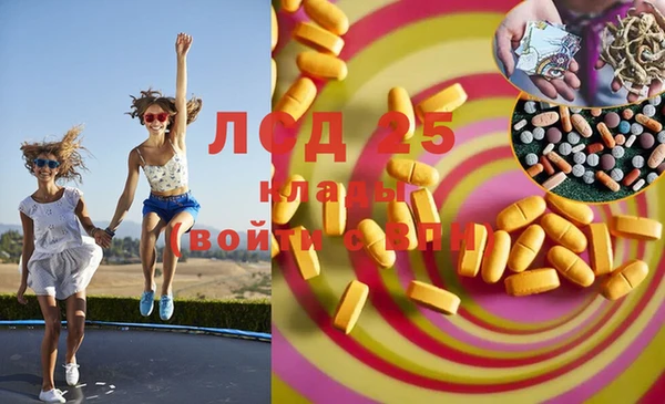 спайс Покачи