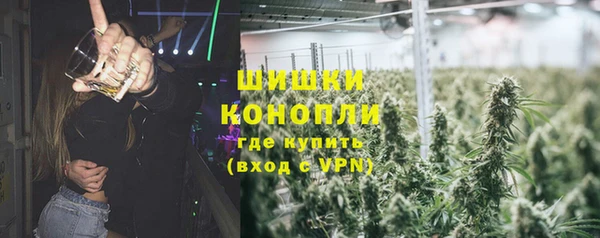 спайс Покачи