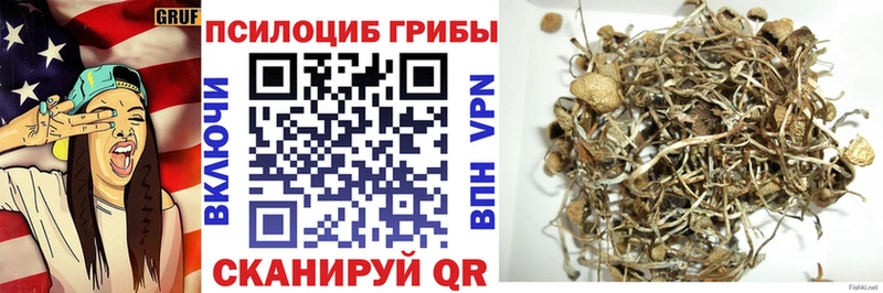 Галлюциногенные грибы Psilocybine cubensis  Купить закладки  Зарайск 